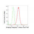 LifeSab™ KD-Validated BIN1 Rabbit mAb (20 μl)