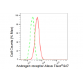 LifeSab™ KD-Validated AR Rabbit mAb (20 μl)