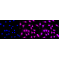 LifeSab™ KD-Validated CDC16 Rabbit mAb (20 μl)