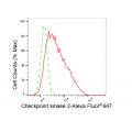 LifeSab™ KD-Validated CHEK2 Rabbit mAb (20 μl)