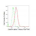 LifeSab™ KD-Validated CTNNA1 Rabbit mAb (20 μl)