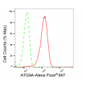 LifeSab™ KD-Validated ATG9A Rabbit mAb (20 μl)