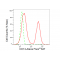 LifeSab™ KD-Validated CD13 Rabbit mAb (20 μl)