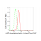 LifeSab™ KD-Validated ARF1 Rabbit mAb (20 μl)