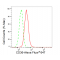 LifeSab™ KD-Validated CD36 Rabbit mAb (20 μl)