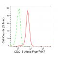 LifeSab™ KD-Validated CDC16 Rabbit mAb (20 μl)