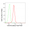 LifeSab™ KD-Validated CDC16 Rabbit mAb (20 μl)