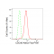 LifeSab™ KD-Validated CDC40 Rabbit mAb (20 μl)