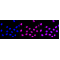 LifeSab™ KD-Validated CDC40 Rabbit mAb (20 μl)