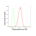 LifeSab™ KD-Validated CD99 Rabbit mAb (20 μl)