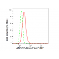 LifeSab™ KD-Validated ABCG2 Rabbit mAb (20 μl)