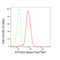 LifeSab™ KD-Validated ATP2A2 Rabbit mAb (20 μl)