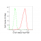 LifeSab™ KD-Validated CTCF Rabbit mAb (20 μl)