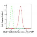 LifeSab™ KD-Validated DHFR Rabbit mAb (20 μl)