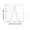 LifeSab™ KD-Validated DDX5 Rabbit mAb (20 μl)