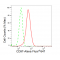 LifeSab™ KD-Validated CD97 Rabbit mAb (20 μl)