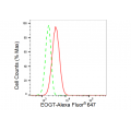 LifeSab™ KD-Validated EOGT Rabbit mAb (20 μl)