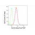 LifeSab™ KD-Validated BCL10 Rabbit mAb (20 μl)