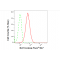 LifeSab™ KD-Validated BCL10 Rabbit mAb (20 μl)