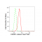 LifeSab™ KD-Validated CSDE1 Rabbit mAb (20 μl)