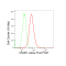 LifeSab™ KD-Validated CSDE1 Rabbit mAb (20 μl)