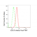 LifeSab™ KD-Validated CDC73 Rabbit mAb (20 μl)