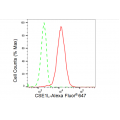 LifeSab™ KD-Validated CSE1L Rabbit mAb (20 μl)