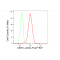 LifeSab™ KD-Validated CSE1L Rabbit mAb (20 μl)