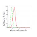 LifeSab™ KD-Validated ABHD5 Rabbit mAb (20 μl)