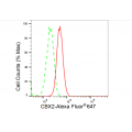 LifeSab™ KD-Validated CBX2 Rabbit mAb (20 μl)