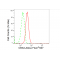 LifeSab™ KD-Validated CBX2 Rabbit mAb (20 μl)