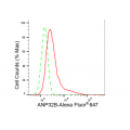 LifeSab™ KD-Validated ANP32B Rabbit mAb (20 μl)