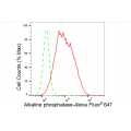 LifeSab™ KD-Validated ALPI Rabbit mAb (20 μl)