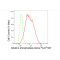 LifeSab™ KD-Validated ALPI Rabbit mAb (20 μl)