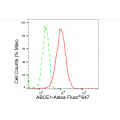 LifeSab™ KD-Validated ABCE1 Rabbit mAb (20 μl)