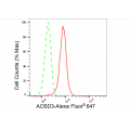 LifeSab™ KD-Validated ACBD3 Rabbit mAb (20 μl)