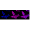 LifeSab™ KD-Validated ACBD3 Rabbit mAb (20 μl)