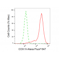 LifeSab™ KD-Validated COX IV Rabbit mAb (20 μl)