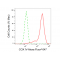 LifeSab™ KD-Validated COX IV Rabbit mAb (20 μl)