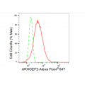 LifeSab™ KD-Validated ARHGEF2 Rabbit mAb (20 μl)