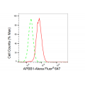 LifeSab™ KD-Validated APBB1 Rabbit mAb (20 μl)