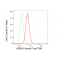 LifeSab™ KD-Validated APBB1 Rabbit mAb (20 μl)