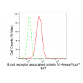 LifeSab™ KD-Validated BCAP31 Rabbit mAb (20 μl)