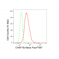 LifeSab™ KD-Validated CHAF1B Rabbit mAb (20 μl)