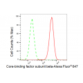 LifeSab™ KD-Validated CBFB Rabbit mAb (20 μl)