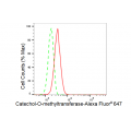 LifeSab™ KD-Validated COMT Rabbit mAb (20 μl)