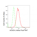 LifeSab™ KD-Validated ACADVL Rabbit mAb (20 μl)