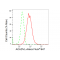 LifeSab™ KD-Validated ACADVL Rabbit mAb (20 μl)