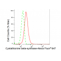 LifeSab™ KD-Validated CBS Rabbit mAb (20 μl)