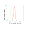 LifeSab™ KD-Validated AP2S1 Rabbit mAb (20 μl)